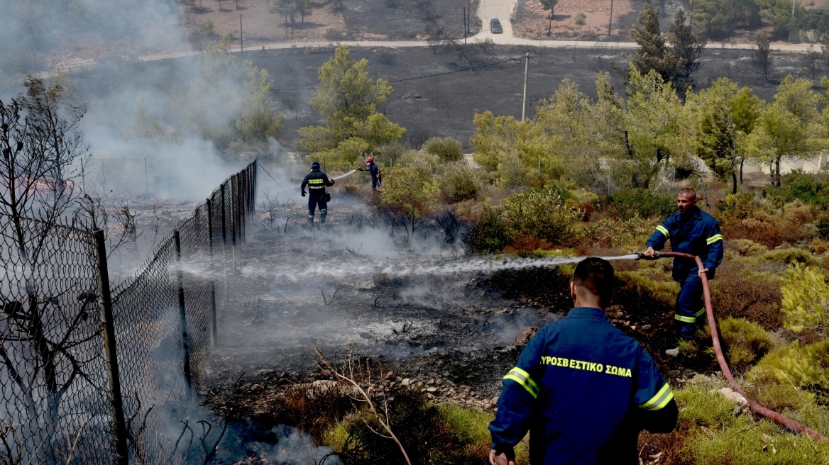 Φωτιά στην Αττική: Είμαστε στις επάλξεις για την αντιμετώπιση των αναζωπυρώσεων, λέει η δήμαρχος Πεντέλης