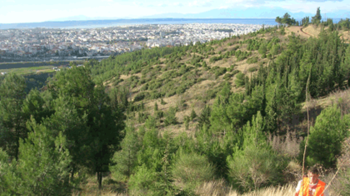 Τρεις φωτιές τα ξημερώματα στο Σέιχ – Σου 