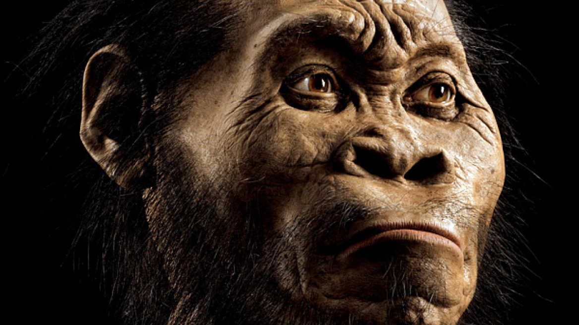 Homo naledi: Ανακαλύφθηκε νέο είδος ανθρώπου στη Νότια Αφρική! 