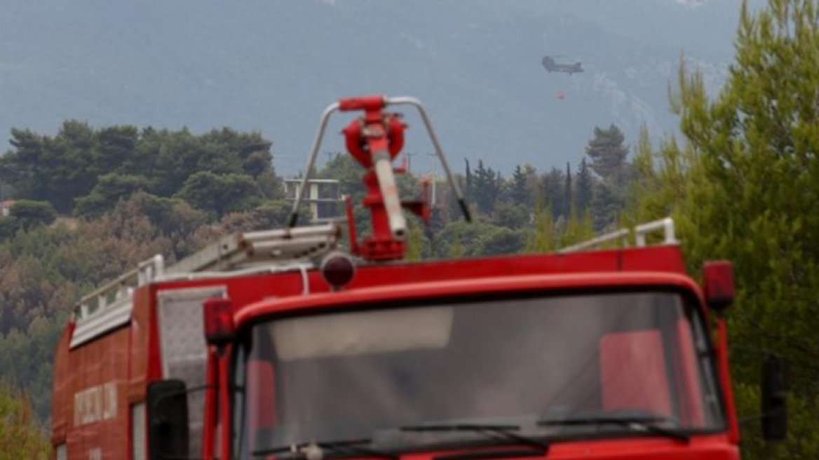 Ρόδος:Υπό μερικό έλεγχο η φωτιά κοντά στο χωριό Σάλακος