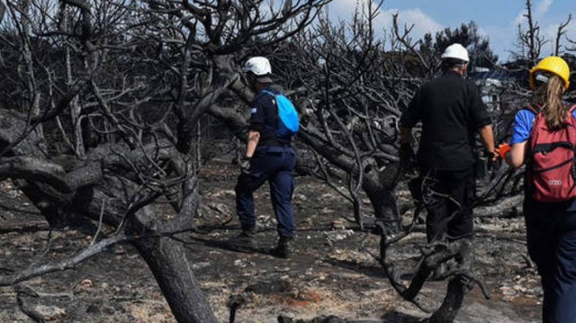 Πρόεδρος Ειδικών Φρουρών στον «Θέμα 104,6»: Την ώρα της φωτιάς στο Μάτι οι ασύρματοι δεν λειτουργούσαν 