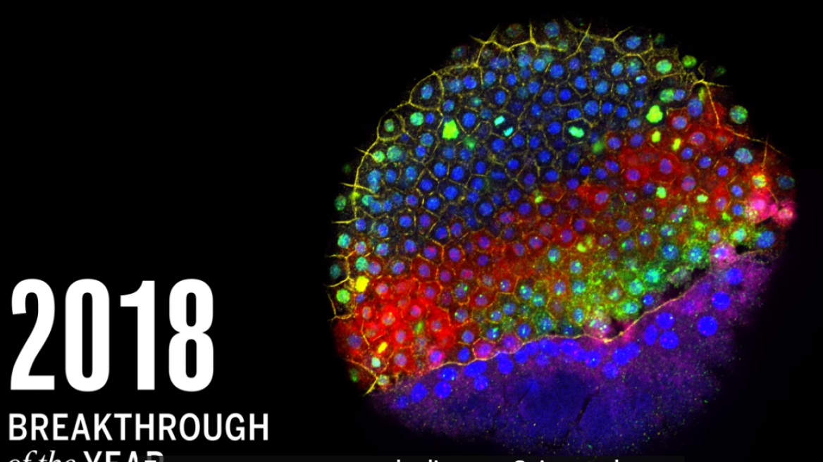 Περιοδικό Science: Ποια είναι τα σημαντικότερα επιστημονικά επιτεύγματα για το 2018