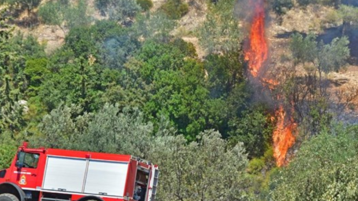 Φωτιά στην Αργολίδα: Δείτε τις δυνάμεις που επιχειρούν