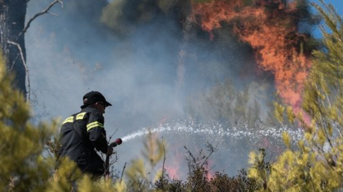 Φωτιά σε δασική έκταση στο Χιλιομόδι Κορινθίας