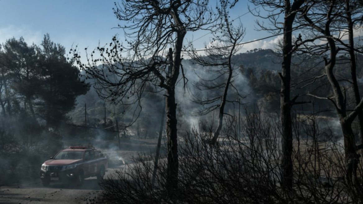 Φωτιά στα Γεράνεια Όρη - Αρχηγός πυροσβεστικής: «Δεν ξεκίνησε από αμέλεια η πυρκαγιά»