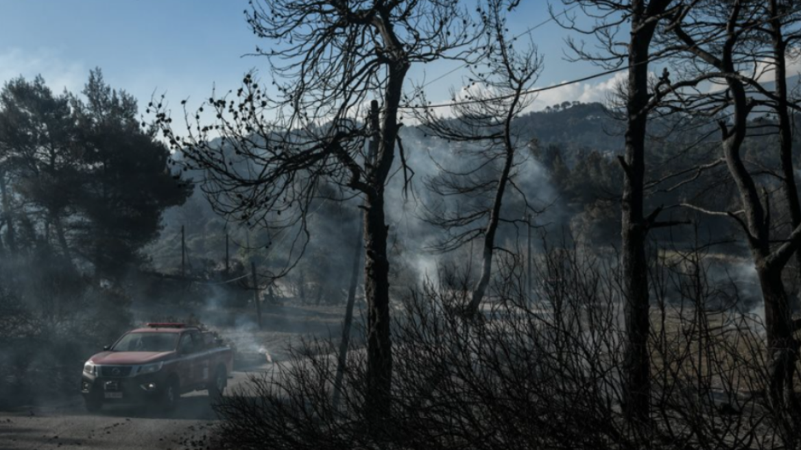 Φωτιά στα Γεράνεια Όρη: Η χειρότερη δασική πυρκαγιά τα τελευταία 10 χρόνια - Έκαψε 52.000 στρέμματα