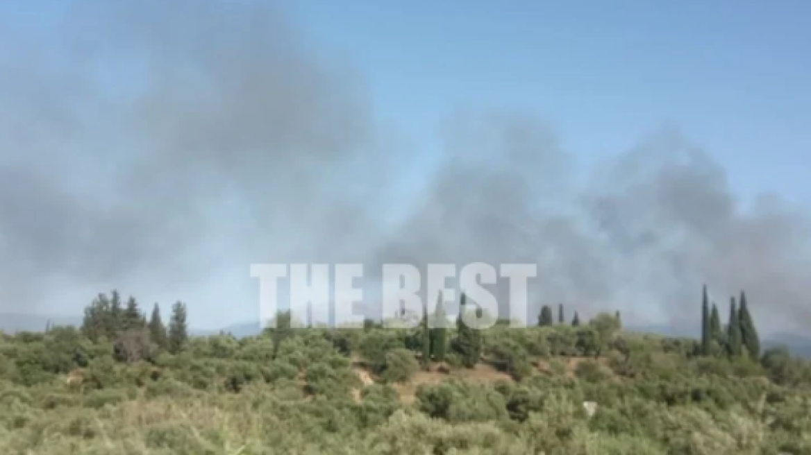 Σχεδόν 30 συλλήψεις για συμπλοκές σε αγώνα Γ΄ Εθνικής