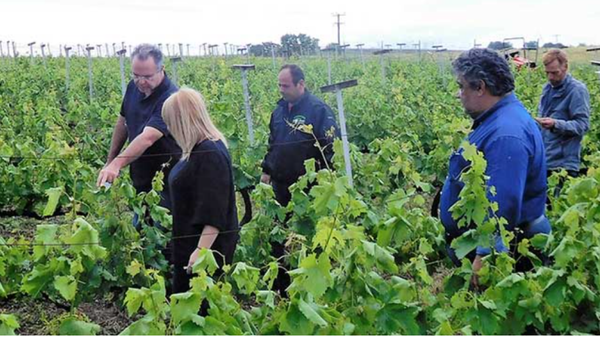 ΕΛΓΑ: 140 νέες θέσεις εργασίας σε οκτώ περιοχές - Μέχρι πότε οι αιτήσεις