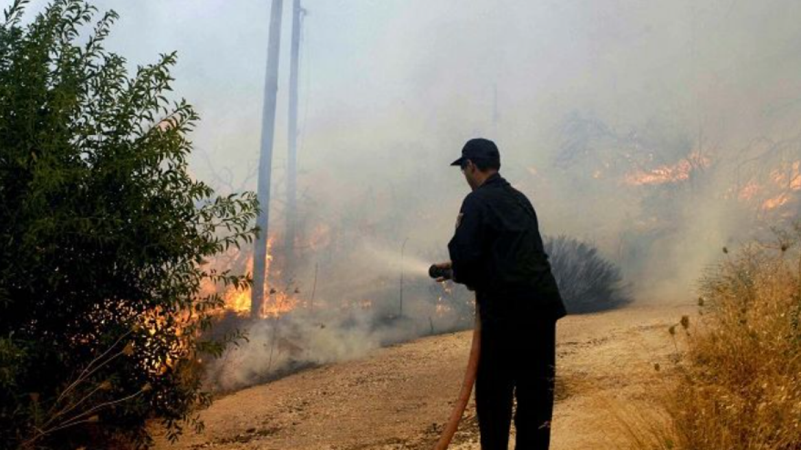 Φωτιά σε δασική έκταση στη Βραυρώνα Αττικής - Δεν απειλεί κατοικημένη περιοχή