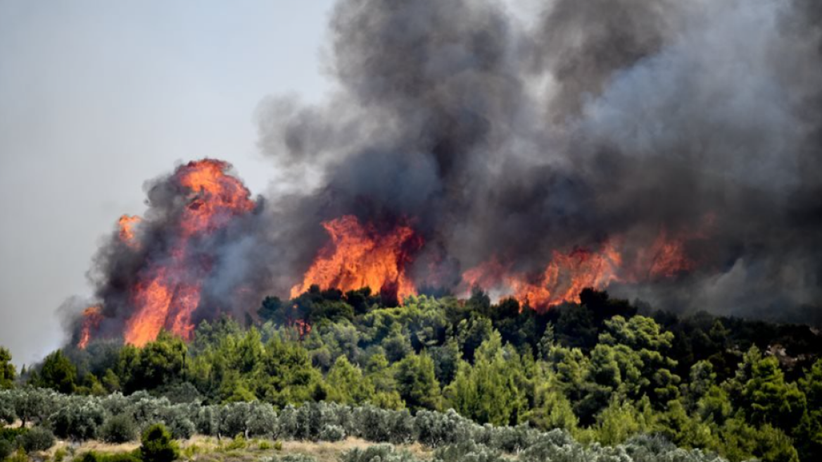 Καιρός: Υψηλός ο κίνδυνος δασικών πυρκαγιών σήμερα στην ανατολική Αττική - Δείτε χάρτη του meteo