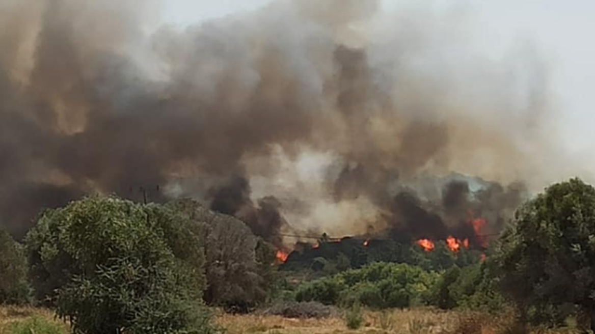 EE: Βοήθεια από τον μηχανισμό πολιτικής προστασίας σε Ελλάδα, Ιταλία, Αλβανία και Σκόπια