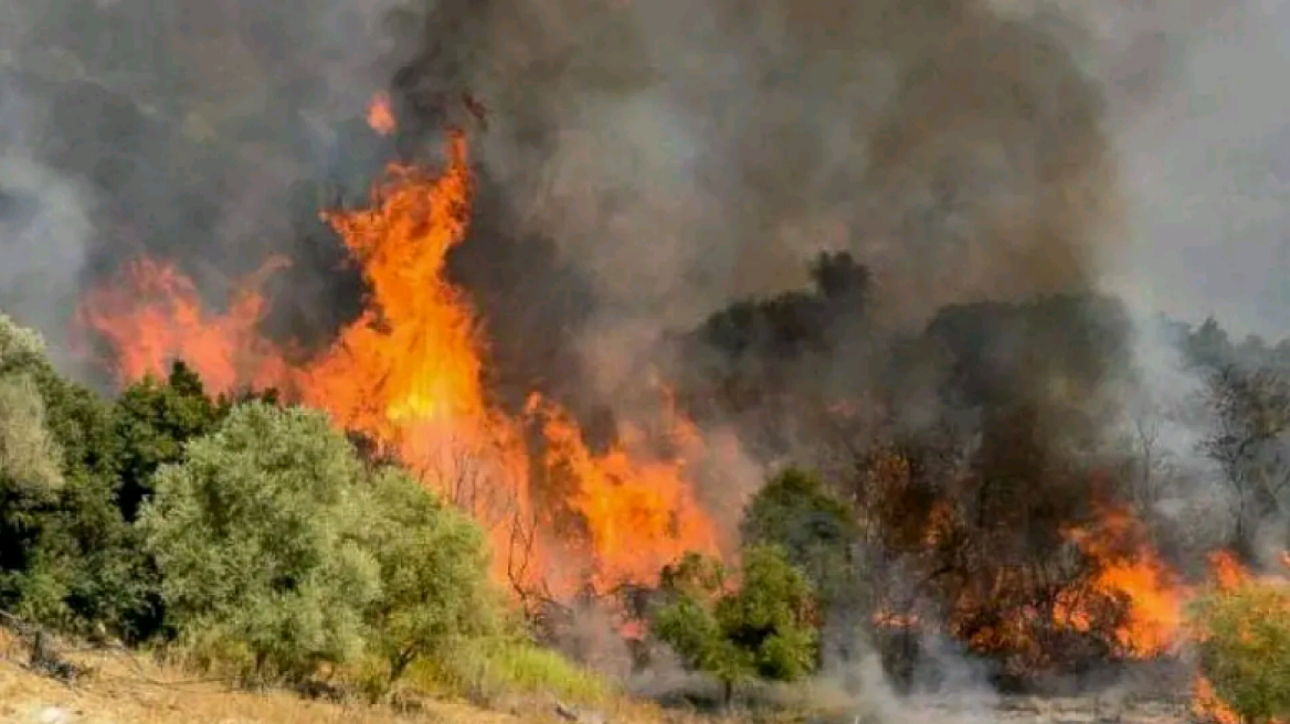 Φωτιά στο Βασιλίτσι Μεσσηνίας - Εντολή για προληπτική απομάκρυνση από την Πυροσβεστική