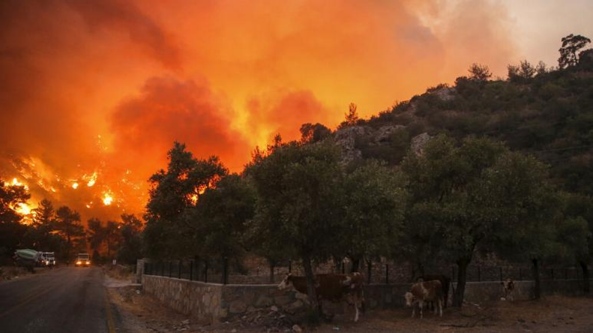 Χάος με τις φωτιές στην Τουρκία: Με βάρκες φεύγουν οι κάτοικοι από την πόλη Μίλας