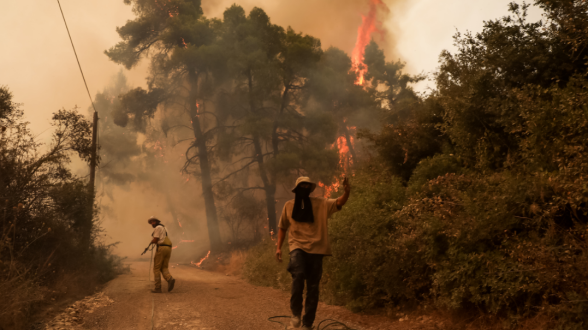 ΔΕΔΔΗΕ: Αγώνας δρόμου για να φτάσει το ρεύμα στα χωριά της Βόρειας Εύβοιας	