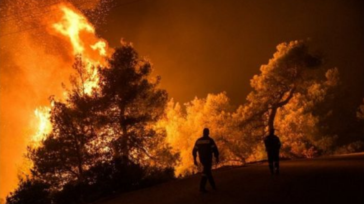 Ιωάννινα: Πυρκαγιά σε δασική έκταση στο Μιτσικέλι