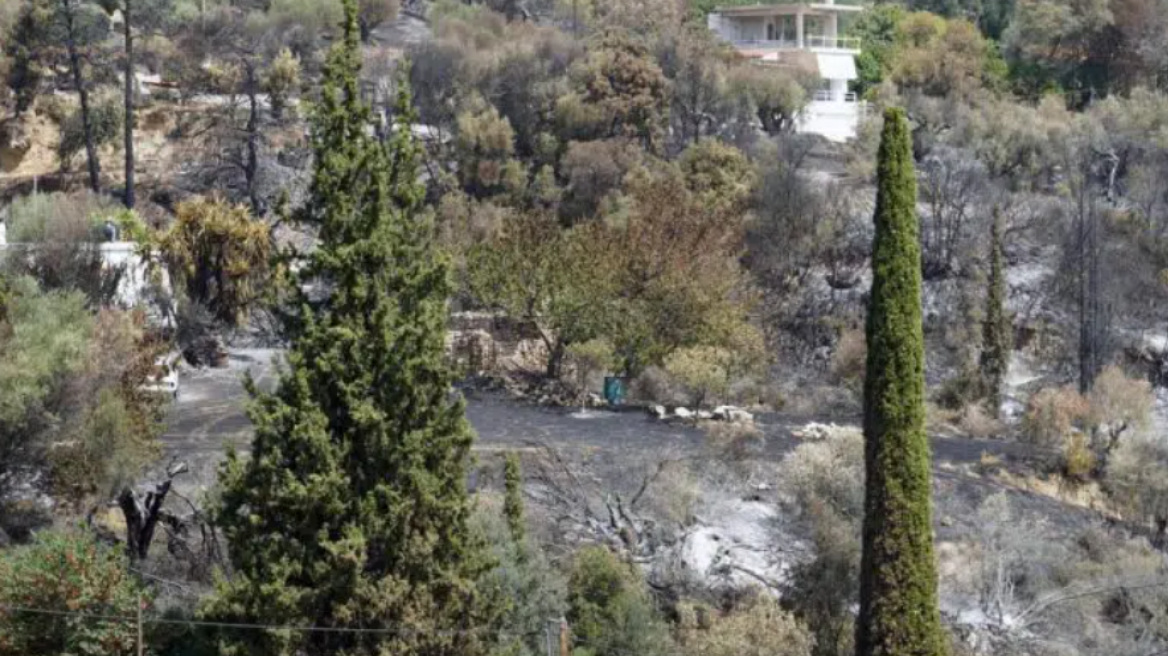 Ανατολική Μάνη: Σε εξέλιξη η φωτιά