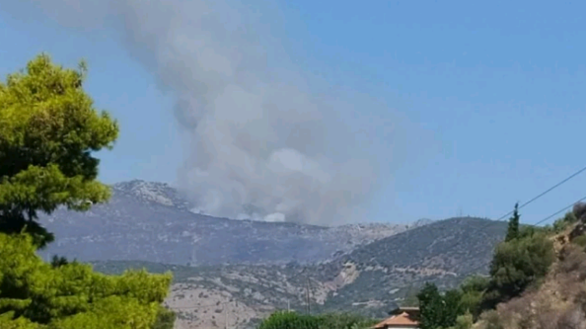 Φωτιά στη Φωκίδα: Μαίνεται το μέτωπο - Απειλούνται χωριά (βίντεο - φωτογραφίες)