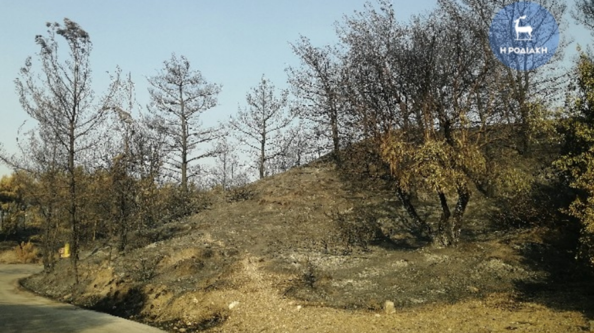 Φωτιές στην Ελλάδα - Καιρός: Αυξημένα μέτρα επιφυλακής στη Ρόδο - Κίνδυνος πυρκαγιάς