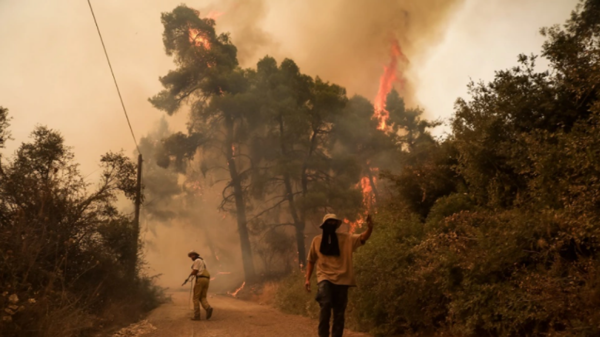 Φωτιές: Πάνω από 930.000 στρέμματα έχουν γίνει στάχτη φέτος στην Ελλάδα