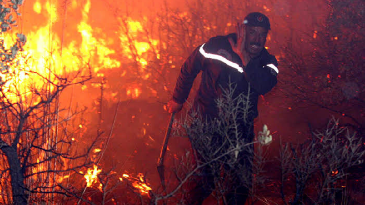 Αλγερία: Τουλάχιστον 42 οι νεκροί στις πυρκαγιές που σαρώνουν τον βορρά της χώρας - Δείτε βίντεο