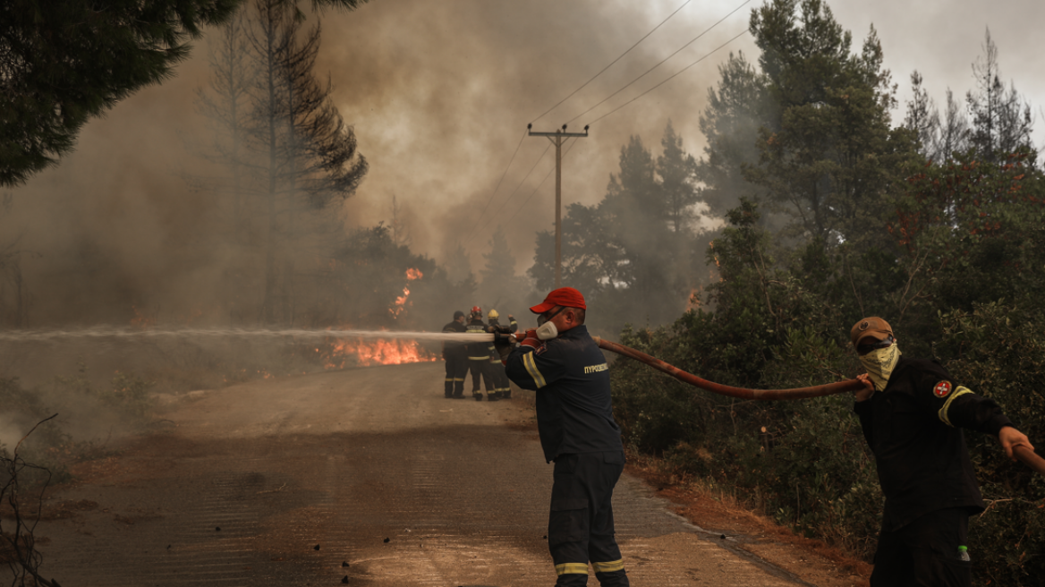 Καιρός: Πιθανότητα βροχής σε περιοχές της κεντρικής και βόρειας Εύβοιας σήμερα -  42άρια στα ηπειρωτικά