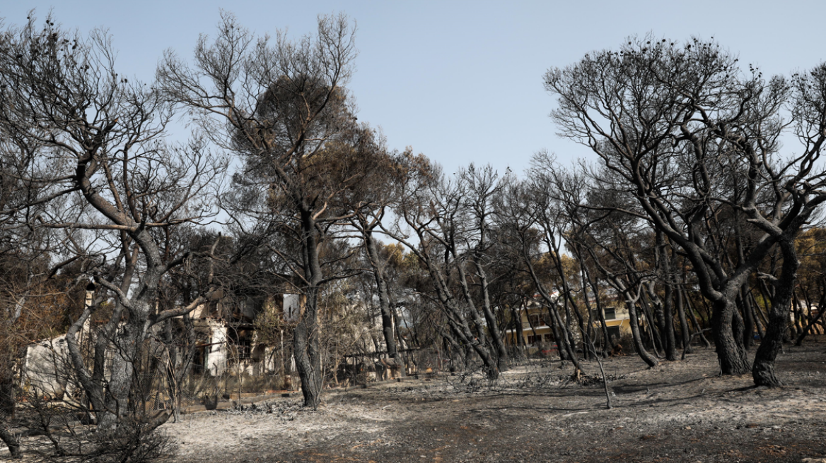 Φωτιές στην Ελλάδα: Στην Εύβοια πάνω από τις μισές καμένες εκτάσεις - «Στάχτη» περισσότερα από ένα εκατομμύριο στρέμματα