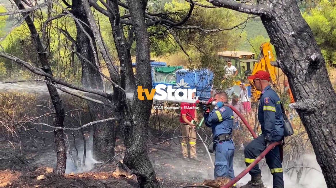 Στο στόχαστρο ο Θεολόγος - Νέα εστία φωτιάς την Πέμπτη