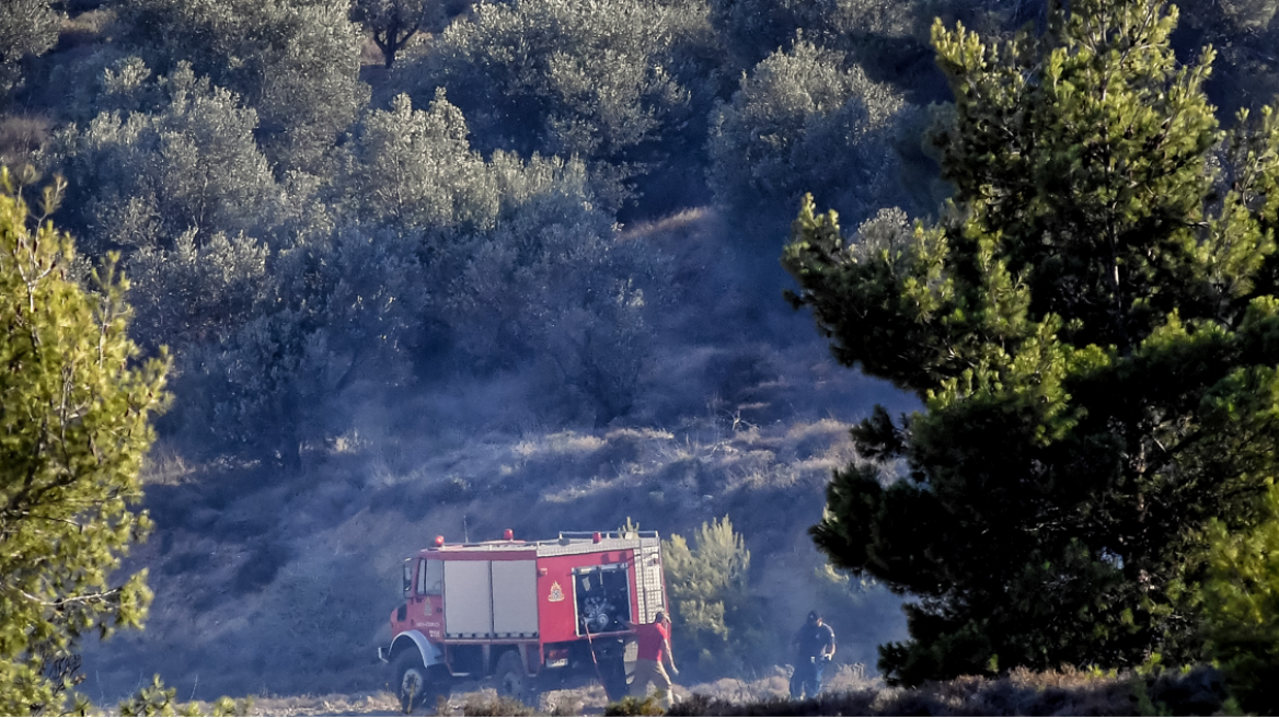 Σε εξέλιξη παραμένουν οι πυρκαγιές στα Μεσοχώρια Ευβοίας και την Αρχαία Κόρινθο