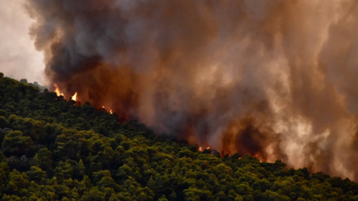 Φωτιές: Πολύ υψηλός κίνδυνος σε Εύβοια και Αττική για την Πέμπτη