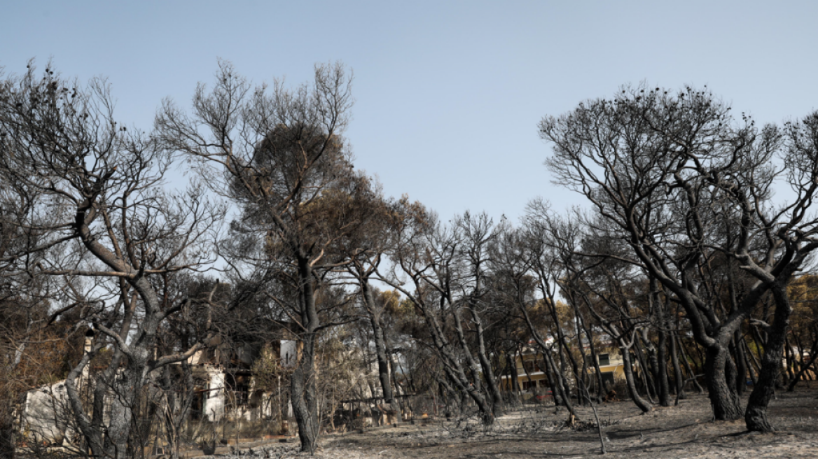 Στη «Διαύγεια» η ΚΥΑ για τα έκτακτα μέτρα προστασίας θέσεων εργασίας στις πυρόπληκτες περιοχές