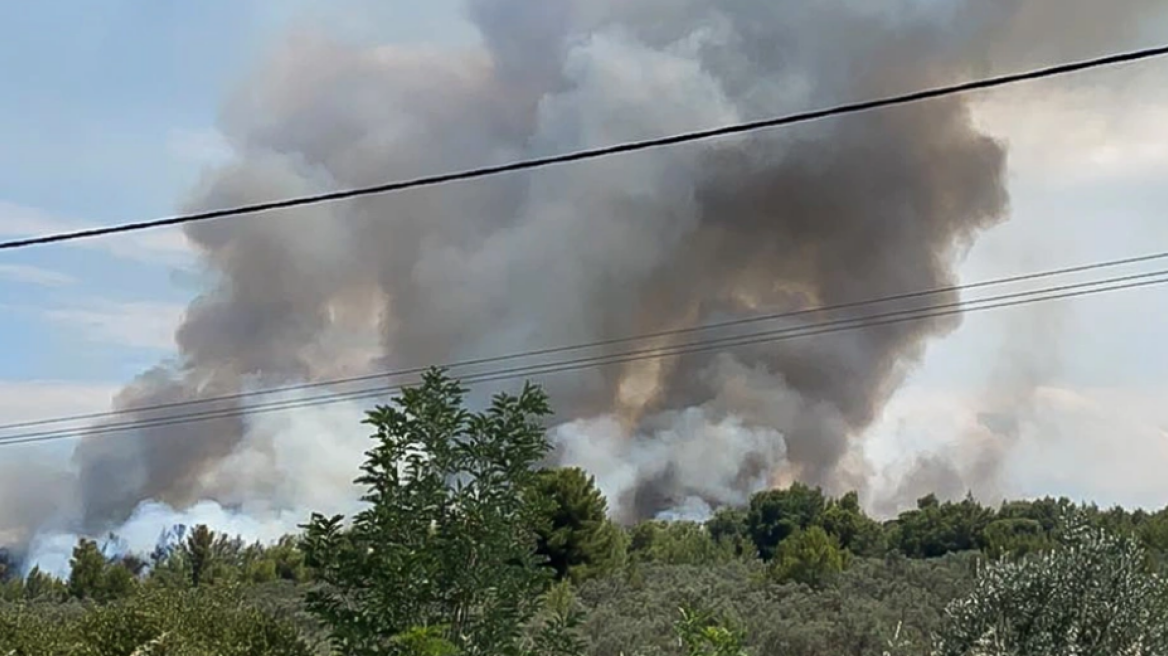 Ανατροπή στην υπόθεση εμπρησμού στον Θεολόγο: «Δεν το έχω κάνει εγώ» λέει τώρα ο 14χρονος 