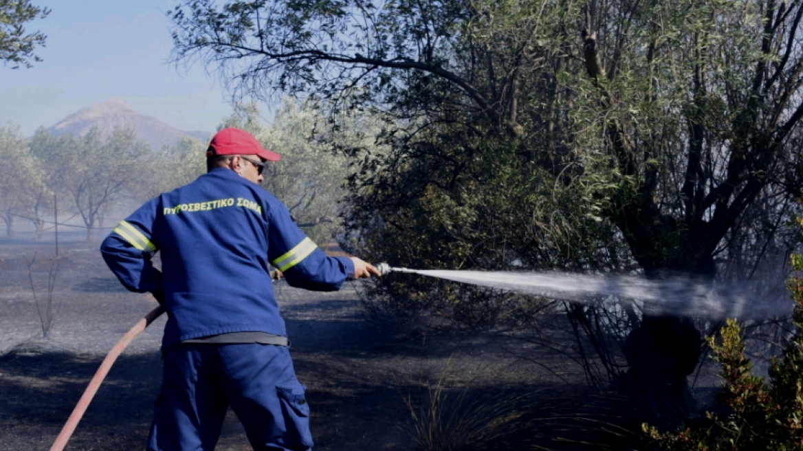 Πολύ υψηλός κίνδυνος πυρκαγιάς αύριο Πέμπτη σε τρεις περιφέρειες της χώρας