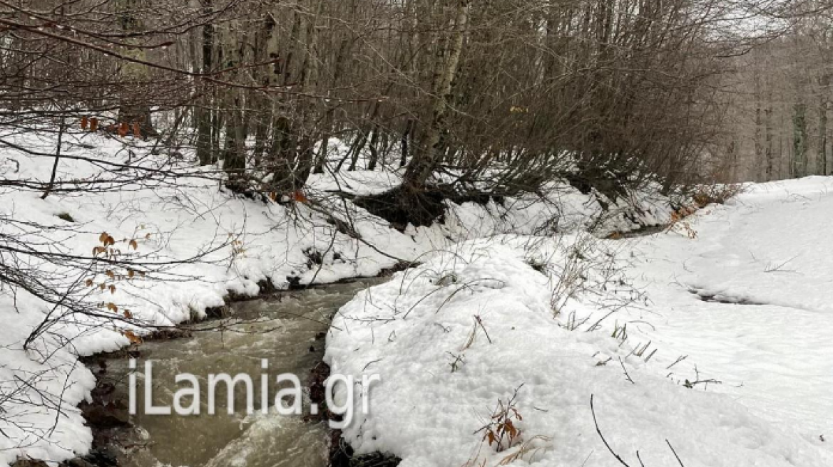 Δυτική Φθιώτιδα: Έπεσαν τα πρώτα χιόνια στα ορεινά (βίντεο και φωτογραφίες)