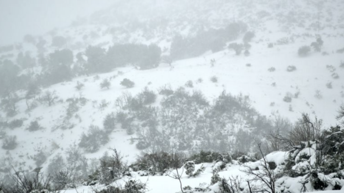 Σφοδρές χιονοπτώσεις σε Αργολίδα, Αρκαδία και Λακωνία - Πού χρειάζονται αντιολισθητικές αλυσίδες