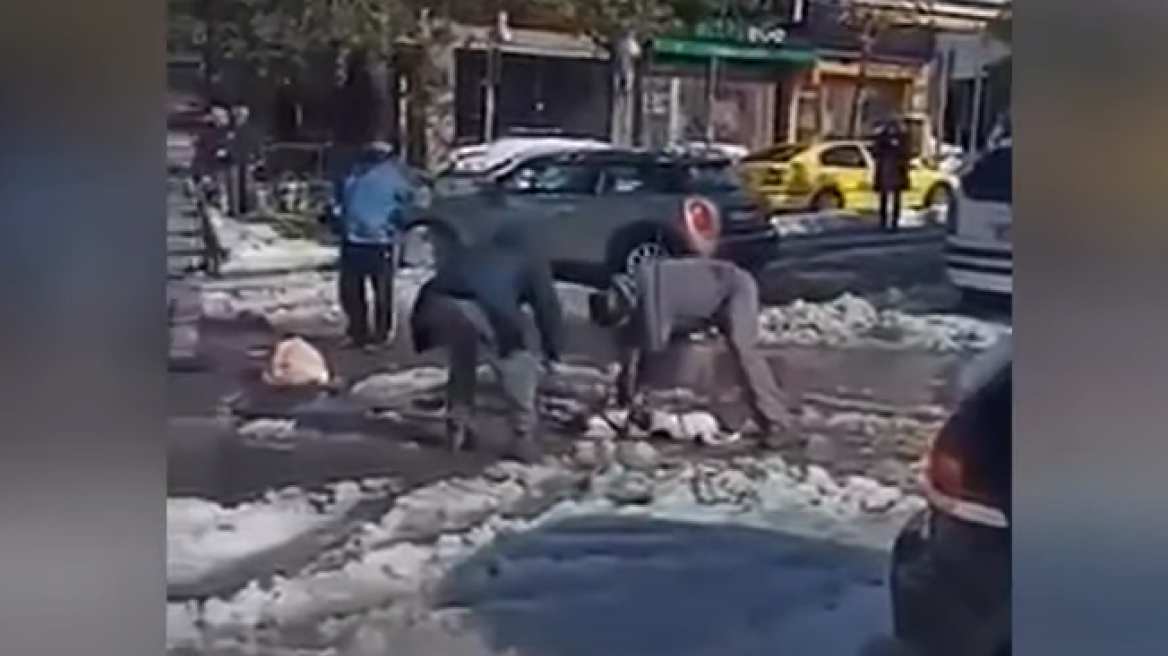 Σκυλάκι έπαθε ηλεκτροπληξία από πεσμένα καλώδια στο Ελληνικό - Δείτε βίντεο