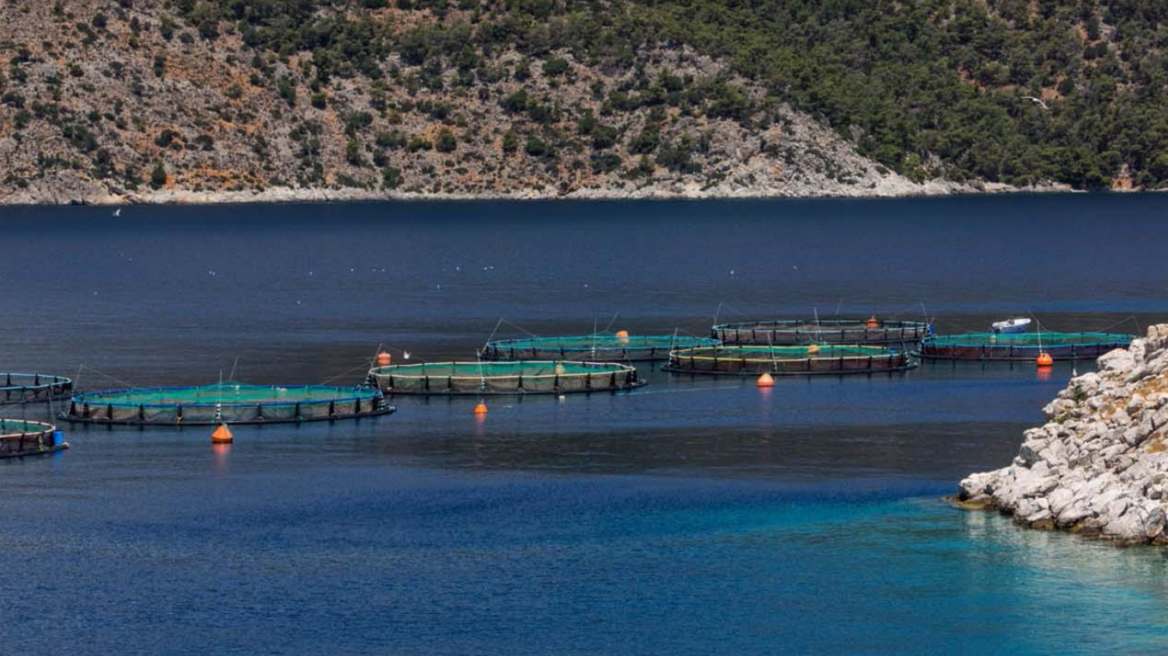 Μνημόνιο συνεργασίας για την απασχόληση μεταναστών και προσφύγων σε υδατοκαλλιέργειες