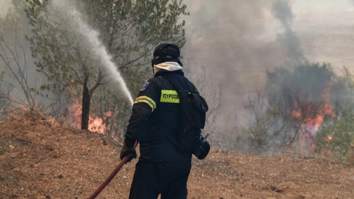 Προσλήψεις «δασοκομάντο»: Πώς θα στελεχωθούν οι ειδικές μονάδες, δείτε την τροπολογία