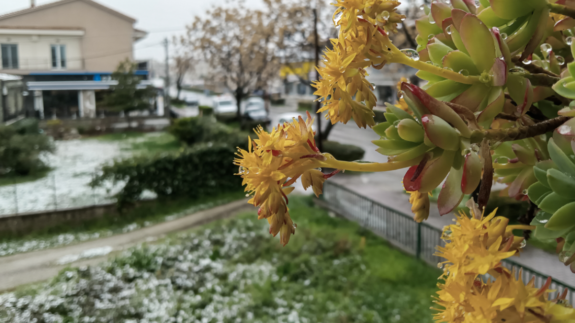 Καιρός: Ισχυρός παγετός μέχρι την Τρίτη στην Αττική