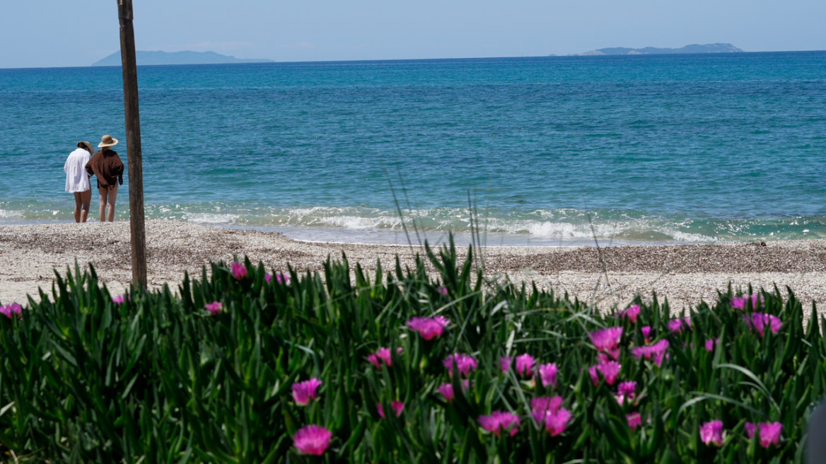 Καιρός: Χαμηλός ο κίνδυνος πυρκαγιάς σήμερα στην Αττική, πού θα χαλάσει ο καιρός από αύριο