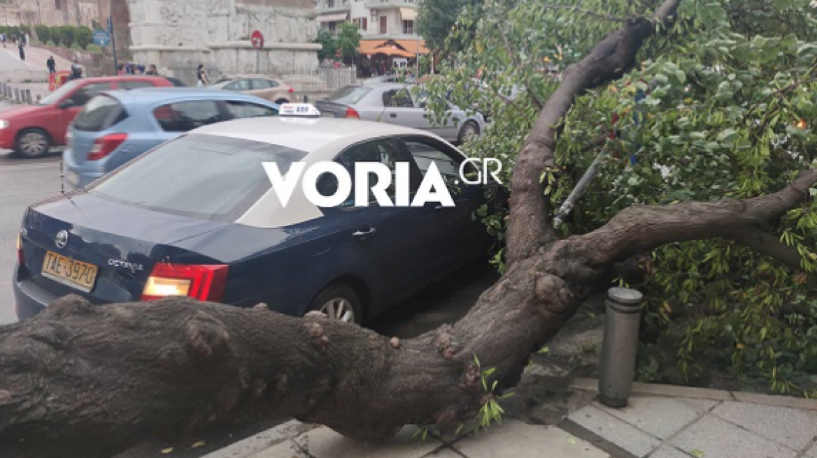 Θεσσαλονίκη: Δέντρο ξεριζώθηκε και... έπεσε πάνω σε ταξί - Δείτε βίντεο και φωτογραφίες