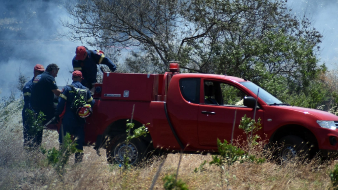 Λευκάδα: Μεγάλη φωτιά στο Πόρτο Κατσίκι - «Σηκώθηκαν» πέντε εναέρια μέσα