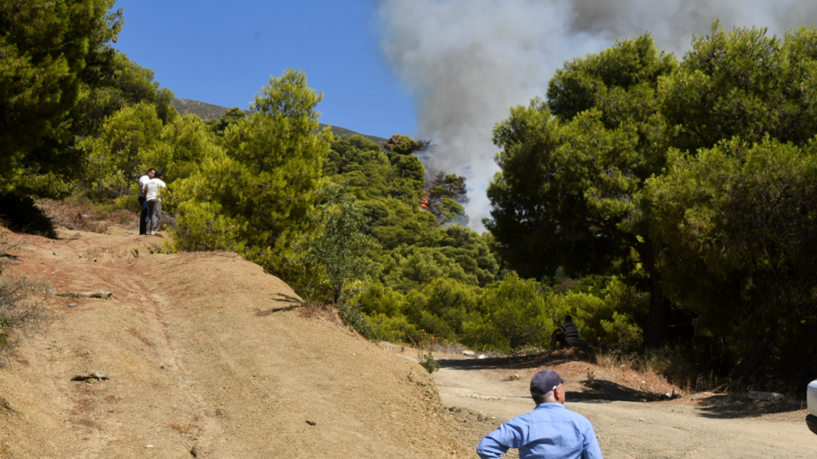 Φωτιές: Υψηλός κίνδυνος πυρκαγιάς σήμερα στην Αττική και ακόμα τέσσερις περιοχές