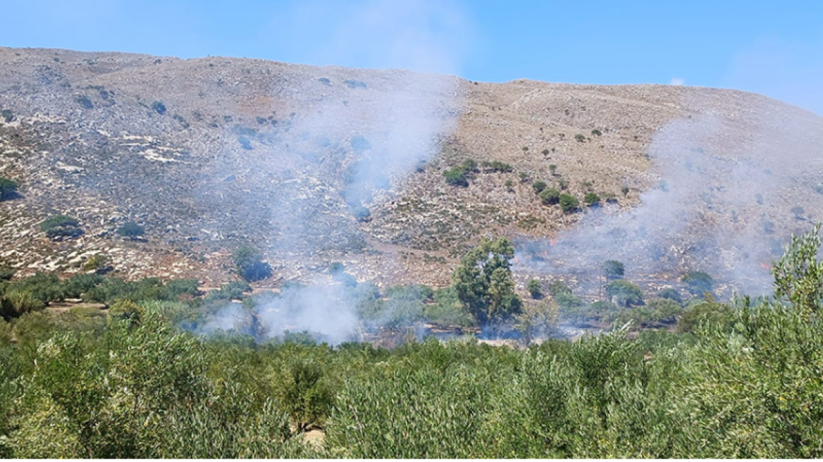  Φωτιά στον Ορχομενό Βοιωτίας, κοντά σε κατοικημένη περιοχή