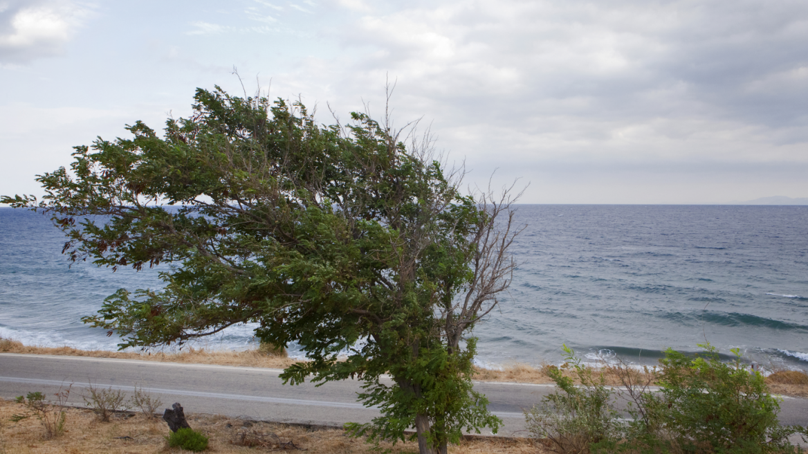 Καιρός: Άνεμοι έως οκτώ μποφόρ στο Αιγαίο -  Τοπικά φαινόμενα στην Κρήτη έως την Τετάρτη