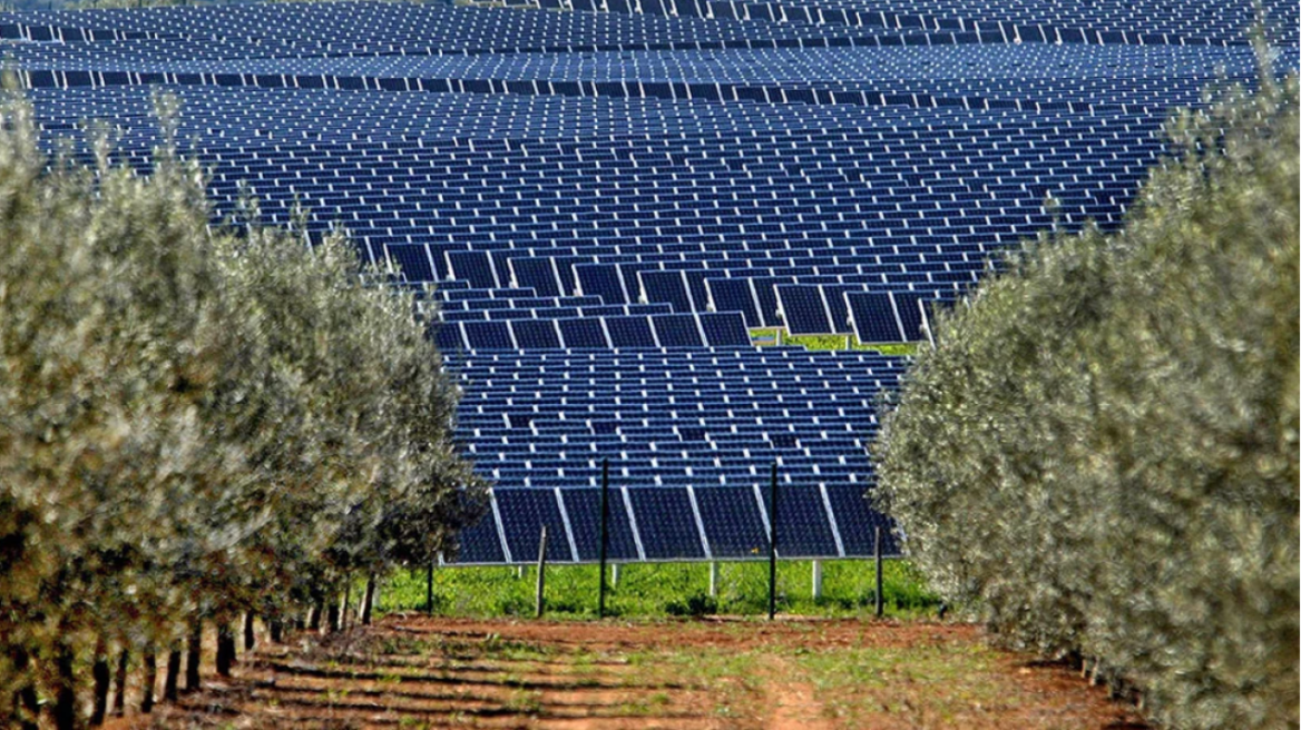 Χαλκιδική: Σπείρα ξήλωσε 67 φωτοβολταϊκά πάνελ 