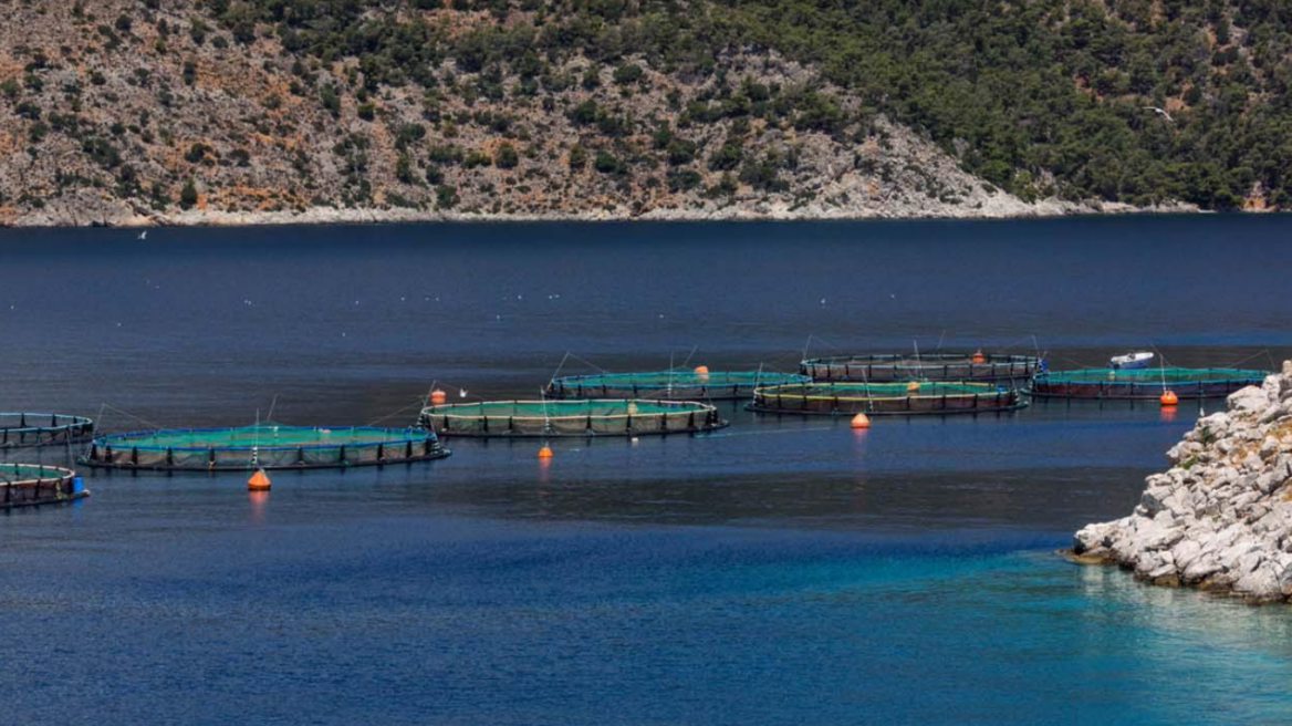 Αιτωλοακαρνανία: Πυροβολισμοί σε καταδίωξη λαθραλιέων στον Μύτικα