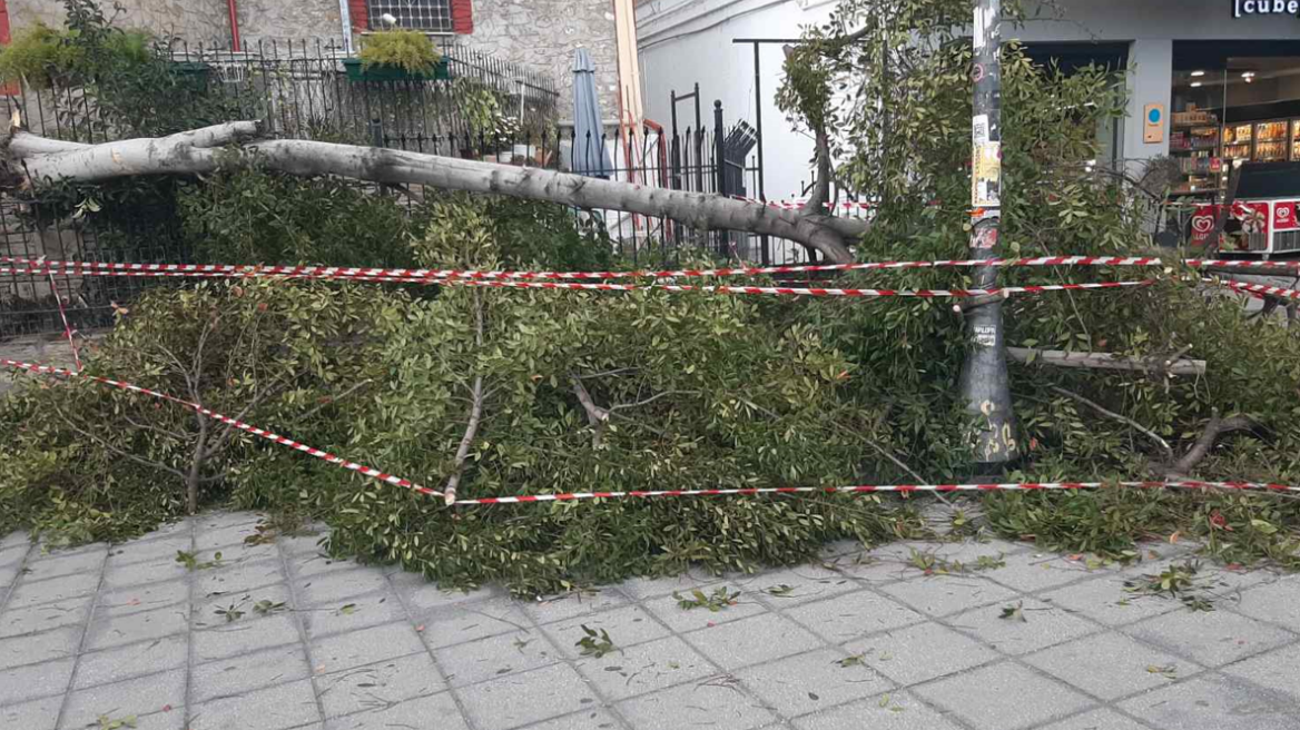 Καιρός: Η κακοκαιρία έπληξε και τη Θεσσαλονίκη - Πτώσεις δέντρων από τα ισχυρά μποφόρ