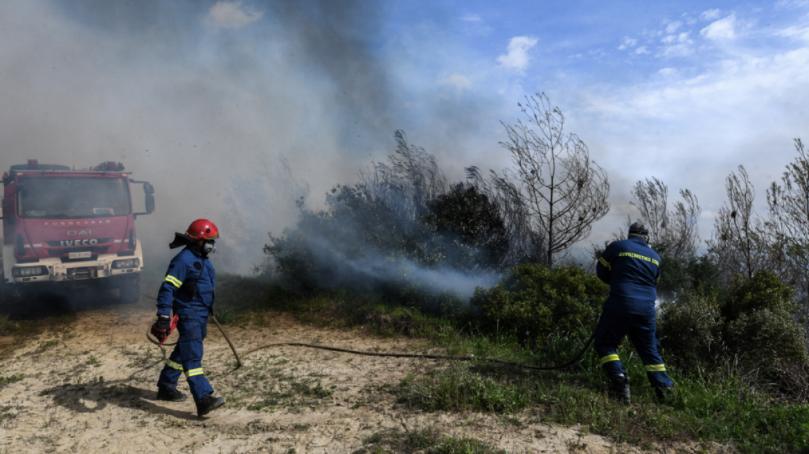 Δύο πύρινα μέτωπα κοντά στην Περιφερειακή Αιγάλεω - Κλειστή η έξοδος της Αττικής Οδού