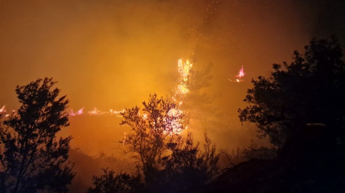 Ρόδος: Φλόγες σε μηχανάκι προκάλεσαν μεγάλη πυρκαγιά στα Αφάντου - Δείτε φωτογραφίες