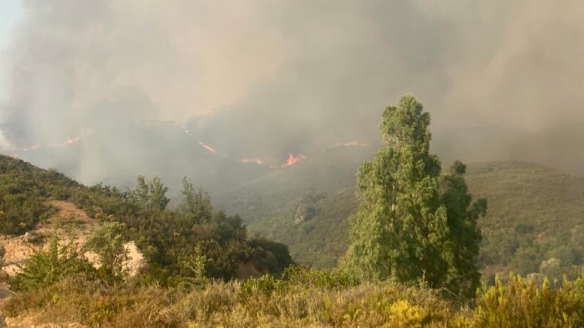 Σπάρτη: Ανεξέλεγκτη η πυρκαγιά στο Πυρί - Δραματικές διαστάσεις παίρνει το πύρινο μέτωπο